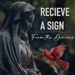 Könnte beinhalten: Eine Statue der Jungfrau Maria mit einem roten Kardinal, der vor ihr fliegt. Der Text "RECIEVE A SIGN From the Divines" ist über das Bild gelegt.