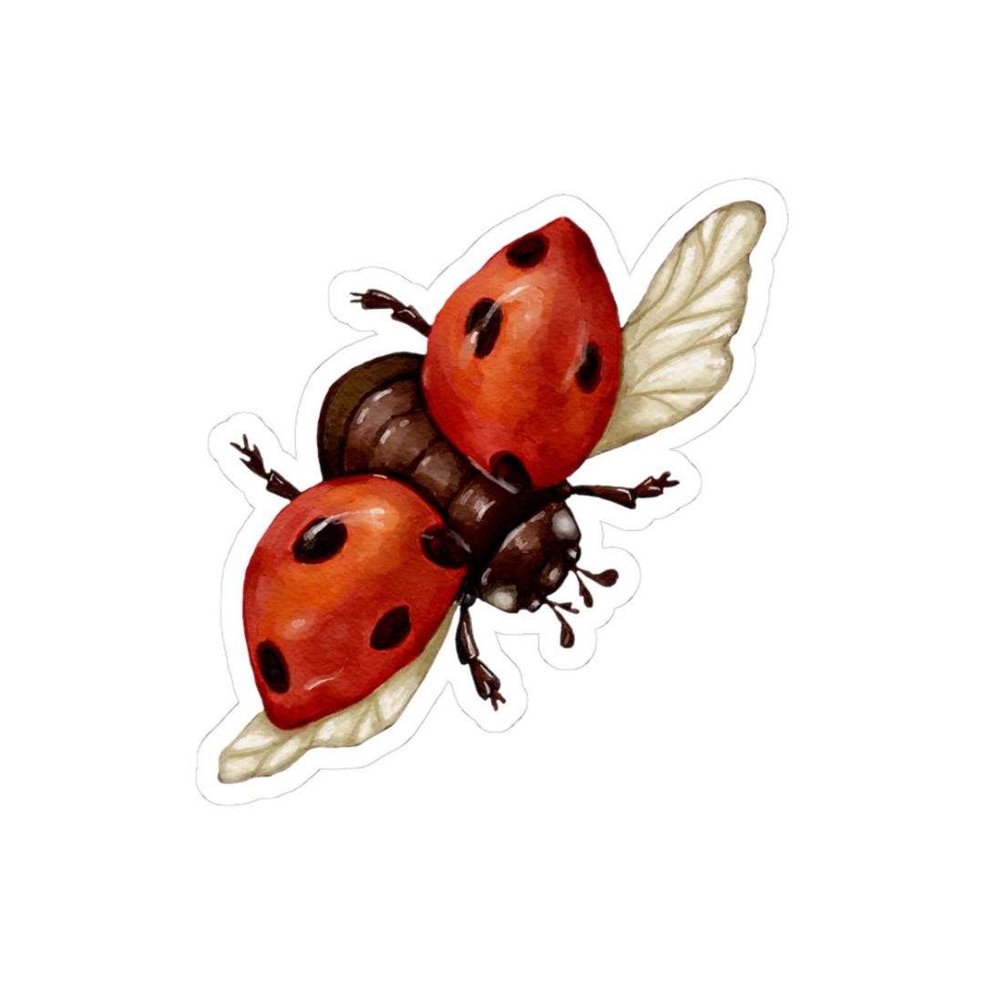 Lady Bug Sticker | Vinyl Sticker - Etsy