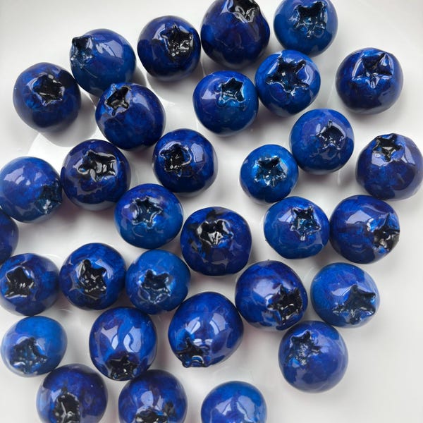 Viral Handmade Blueberry Magnets