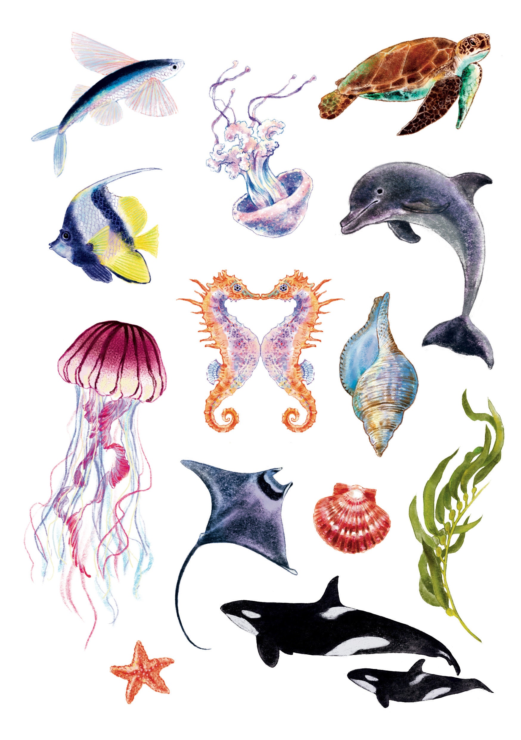 Sea temporary tattoo | Ocean animal temporary tattoo | Tattoo sticker | Festival temporary tattoo | Summer temporary tattoo | Gift