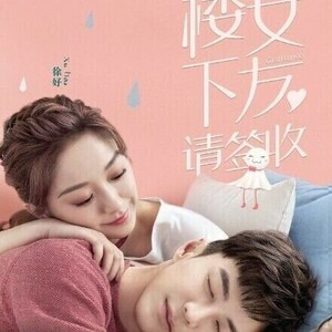 DVD Chinese Drama Girlfriend 楼下女友请签收 Eps 1-36 END English Subtitle All Region Free Shipping