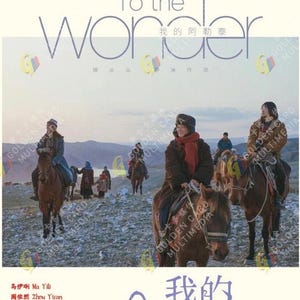 Chinese Drama HD DVD To the Wonder TV Series Vol.1-8 End ( 2024 , 我的阿勒泰 ) English subtitle All region Expedite Shipping