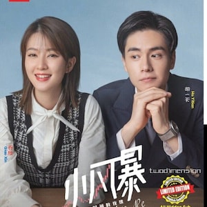 DVD Serie drammatica cinese You Complete Me 小风暴之时间的玫瑰 (Volume 1-40 Fine) [Sottotitoli in inglese per tutte le regioni] con spedizione gratuita