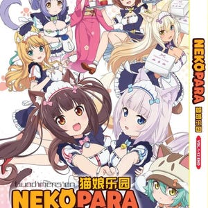DVD Anime Nekopara Complete TV Series (1-12 End) English Dubbed Version ~DVD Box Set and All Region Express Shipping