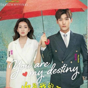 DVD Chinese Drama Series You Are My Destiny 你是我的命中注定 (Volume 1-36 End) [English Subtitle All Region] with Free Shipping