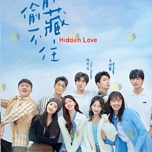 DVD Chinese Drama Hidden Love Vol.1-25 End (2023 / 偷偷藏不住) Engelse ondertiteling met gratis DHL Express-verzending