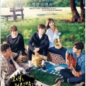 DVD Korean Drama Series The Liar And His Lover (1-18 End) English SUB RegionAll