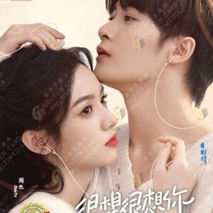 DVD Nieuwe Chinese Drama Love Me Love My Voice 很想很想你 VOL.1-33 Einde, Engelse ondertiteling met gratis DHL Express-verzending