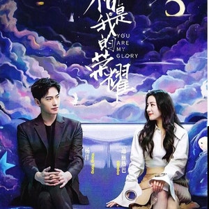 DVD Movies Chinese Drama You Are My Glory 你是我的荣耀 DVD (Chinese Drama) (English Sub) ~ Dvd Storage with DHL Express Shipping