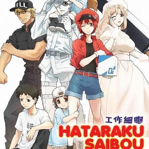 DVD Anime Hataraku Saibou Season 1+2 + Black (Vol.1-34 End) + Movie + OVA English Dubbed Express Shipping