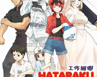 DVD Anime Hataraku Saibou Season 1+2 + Black (vol.1-34 End DVD Anime Hataraku Saibou Season 1+2 + Black (vol.1-34 End