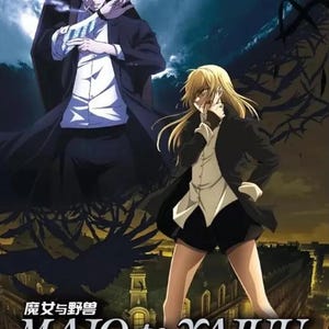 DVD Anime Majo to Yajuu Complete TV Series Vol.1-12 End English Dubbed + with Free Fast Shipping (DHL Express)