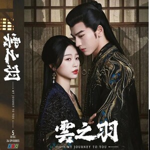 DVD Chinese Drama My Journey To You Vol.1-24 End [English Subtitle All Region] ~ include DHL Express Shipping