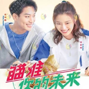 Chinese Drama DVD ~ Out With A Bang 瞄准你的未来 VOL.1-24 Einde, Engelse ondertiteling, met gratis DHL Express-verzending