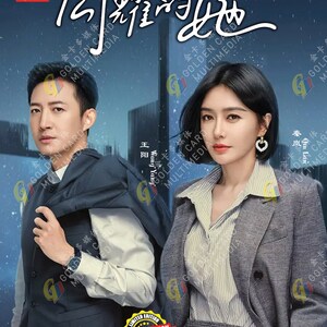 DVD Chinese Drama Stand or Fall Vol.1-32 End (2023 / 闪耀的她) English Subtitle Express Shipping