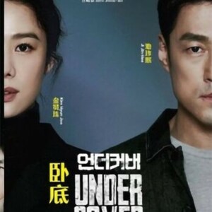 Dvd Koreaans Drama UNDERCOVER 卧底 VOL.1-16 Einde, Engelse ondertiteling met gratis DHL Express-verzending