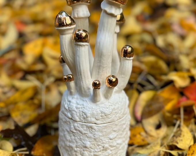 Golden Teachers