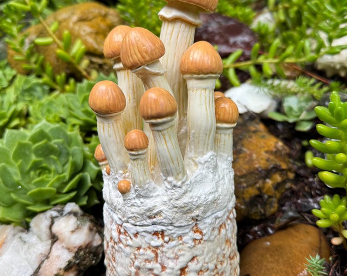 Mushroom Grow Bag Jar