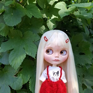 Милая кукла Blythe Custom TBL – OOAK Handmade Art Doll