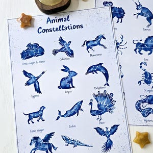 Printable Set of 2 Constellation Prints, 24 Constellations for Kids, Astronomy for Kids, Kids Constellation Artworks, Instant Download