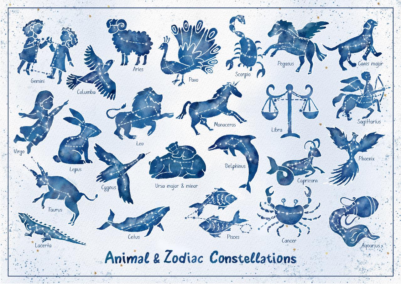 Animal Zodiac Constellations Art Print Educational Astronomy 