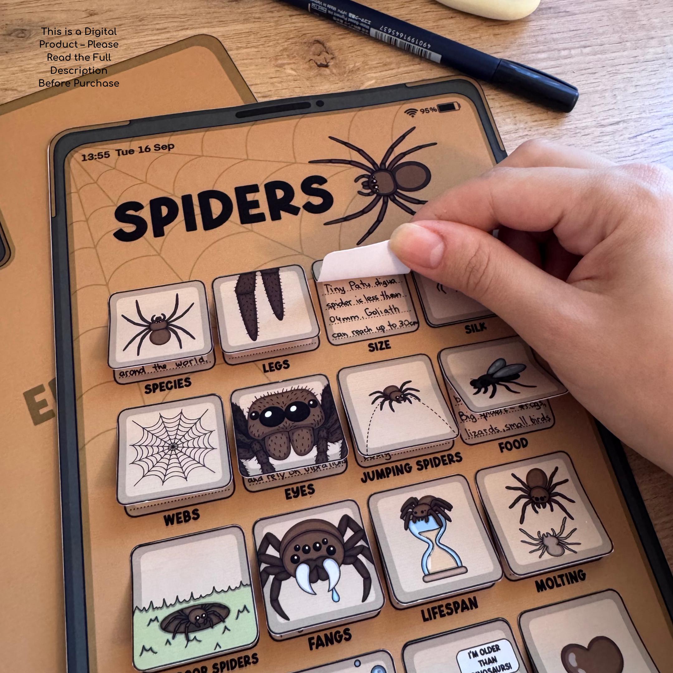 Spiders Facts Activities for Kids | Preschool | Homeschool ...