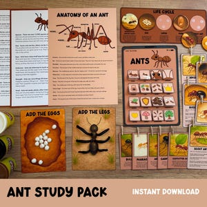 May include: An educational ant study pack with various learning materials. Includes illustrated cards, diagrams of ant anatomy and life cycle, and playdough. The pack features the text "ANT STUDY PACK" and "INSTANT DOWNLOAD".
