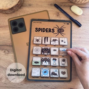 Fakta om spindlar, aktiviteter för barn | Förskola | Hemundervisning | Pedagogiskt pyssel, interaktivt lärande om spindlar, digital nedladdning