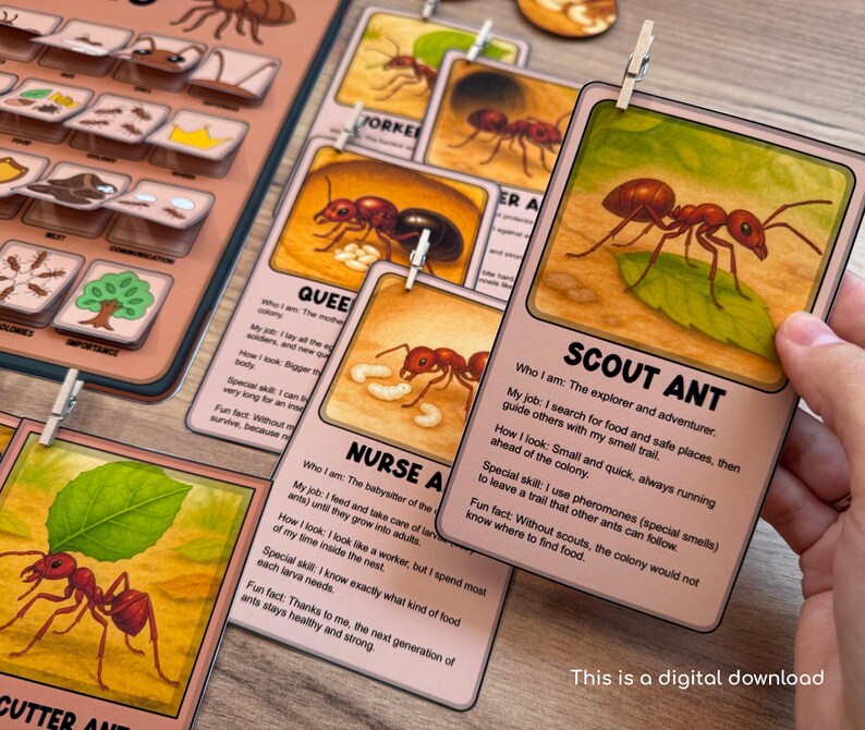 Ant Study Pack, Worksheets for Kids, Ant Life Cycle Printable, Insect ...