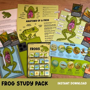 Puede incluir: Un conjunto de materiales educativos para el estudio de las ranas. Incluye diagramas de anatomía, ciclo de vida y cadena alimentaria de las ranas, junto con tarjetas didácticas y una interfaz de tableta digital. Los materiales son de color verde, amarillo y marrón, con el texto "FROG STUDY PACK" y "INSTANT DOWNLOAD".