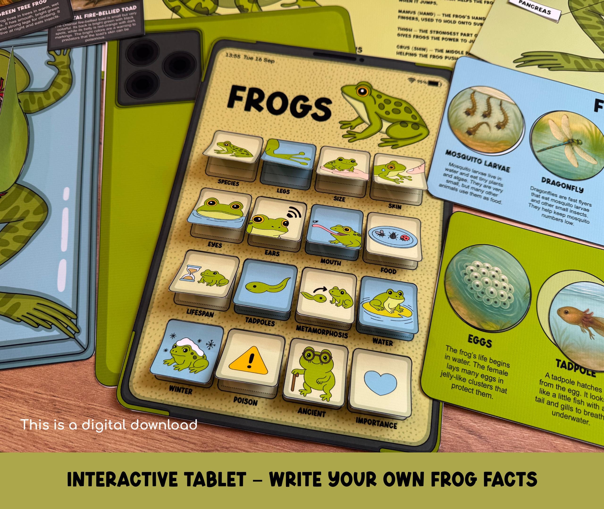 Frog Study Pack, Worksheets for Kids, Frog Life Cycle Printable ...