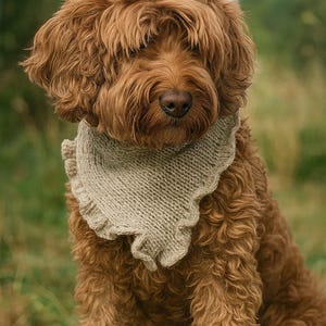 PDF Knitting Bandana-Dog Scarf Knitting pattern – Ruffle Bandana for Dogs | Easy Knit Triangle Scarf for Small, Medium, and Large Dogs