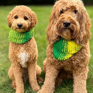 Knitted Dog Scarf Pattern: Beginner Project (PDF Pattern)