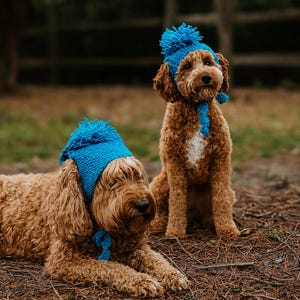 Dog Hat Knitting Pattern PDF: Aran Yarn, Pom-Pom Detail (Small to Medium Dogs)