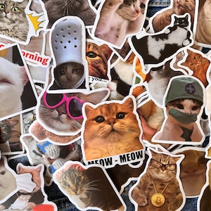 10-50 stks grappige schattige kat meme stickers sarcastische stickers voor laptop, beker, skateboard, koffer, telefoonhoes, Kindle