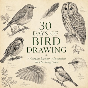 May include: A beige instructional print titled 30 DAYS OF BIRD DRAWING: A Complete Beginner-to-Intermediate Bird Sketching Course. It features detailed black ink illustrations of various birds, a feather, a wing, and a bird head study.