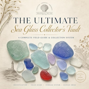 Può includere: Una copertina di libro intitolata The Ultimate Sea Glass Collector's Vault, A Complete Field Guide & Collection System. Presenta vari pezzi di vetro marino in tonalità blu, verde, bianco, rosso e viola, con un'illustrazione di un faro.