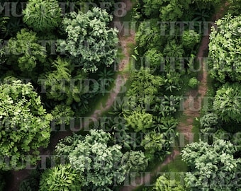 Forest Map,Battle Map,DnD Battle Map,Dungeons and Dragons, TableTop Simulator, Digital Map, 5e, Roll20, Fantasy Grounds, Foundry, VTT