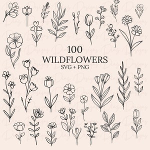 Wilde bloemen svg, wilde bloemen clipart, bloemen svg, bloemen clipart, bloemenbestanden svg, planten svg, plantkunde svg, rozen png.