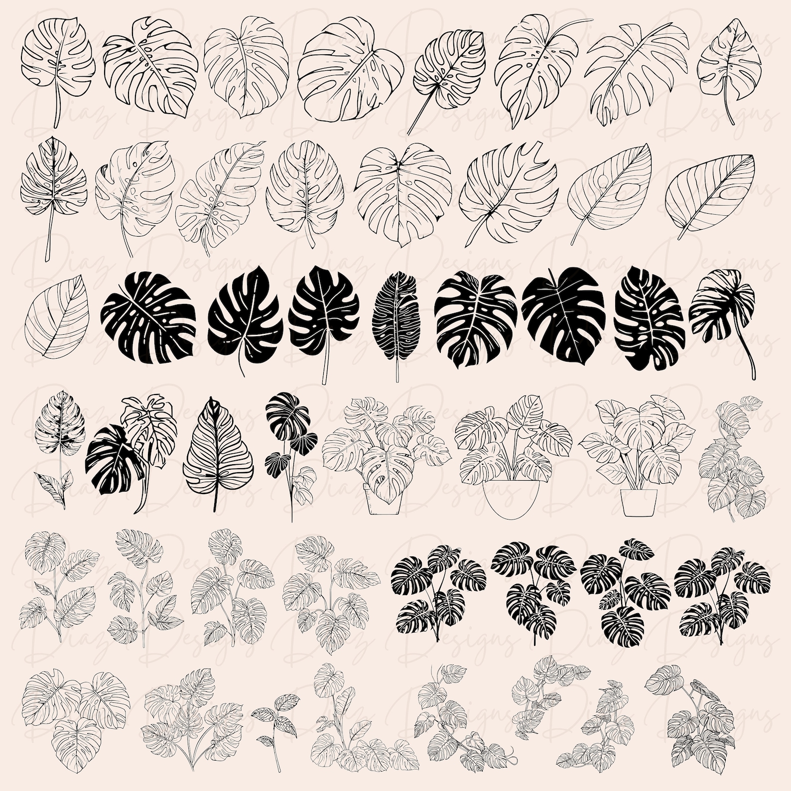 Monstera Svg Bundle, Monstera Plant Svg, Monstera Clipart, Monstera Cut