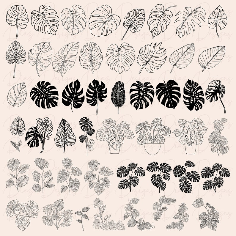 K&ouml;nnte beinhalten: Ein Set mit 40 Schwarzwei&szlig;-Illustrationen von tropischen Bl&auml;ttern und Pflanzen. Die Illustrationen sind in verschiedenen Stilen gehalten, darunter Linienkunst, Silhouette und detaillierte Zeichnungen. Die Bl&auml;tter sind in verschiedenen Formen und Gr&ouml;&szlig;en, darunter Monstera, Palme und Farn.