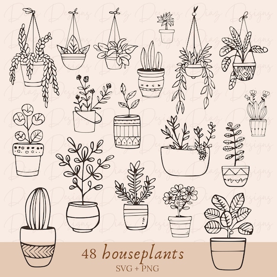 Plantas de interior svg, flores de interior clipart, plantas casa svg, archivos florales svg, botanica svg cricut, Plantas colgantes clipart