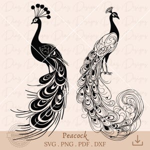 孔雀の SVG、孔雀のクリップアート、孔雀のクリカット カット ファイル、孔雀の PNG、孔雀のベクター、鳥の羽の PNG、孔雀のシルエット。