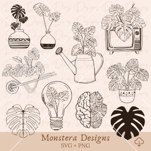 Plante Monstera SVG, clipart Monstera, Monstera PNG, clipart de plante tropicale, clipart de feuilles tropicales, fichiers PNG floraux, svg botanique