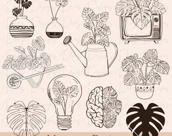 Monstera svg bundle, monstera plant svg, monstera clipart, monstera cut files, jungle leaves png, tropical leaves svg, botanical clipart.