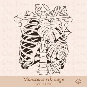 Caja torácica floral svg, planta monstera svg, esqueleto clipart, monstera png clipart, hojas tropicales clipart, anatomía huesos clipart