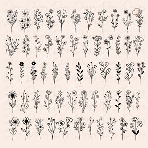 May include: A set of 48 black and white line art floral illustrations. The illustrations feature various types of flowers, leaves, and stems. The illustrations are simple and elegant, and they would be perfect for use in a variety of projects, such as invitations, cards, and scrapbooking.