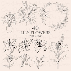 Lírio svg, clipart de lírio, lírio png, clipart de flores silvestres, flores svg, clipart de flores, arquivos svg florais, plantas svg, botânico svg