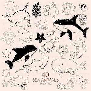 Disegni di animali marini in formato SVG, animali marini in formato PNG, clipart di vita marina, animali marini da colorare, granchio in formato SVG, squalo in formato SVG, balena in formato PNG.