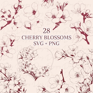 Flores de cerezo svg, flores silvestres clipart, flores svg, flores clipart, archivos florales svg, plantas svg, botanica svg, cerezo png.